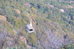筑波山山頂から