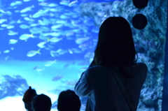 Aquarium