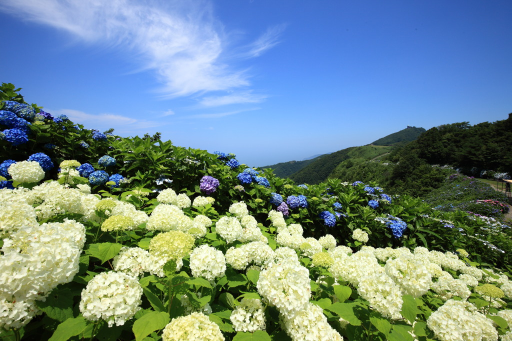 梅雨晴れの頂