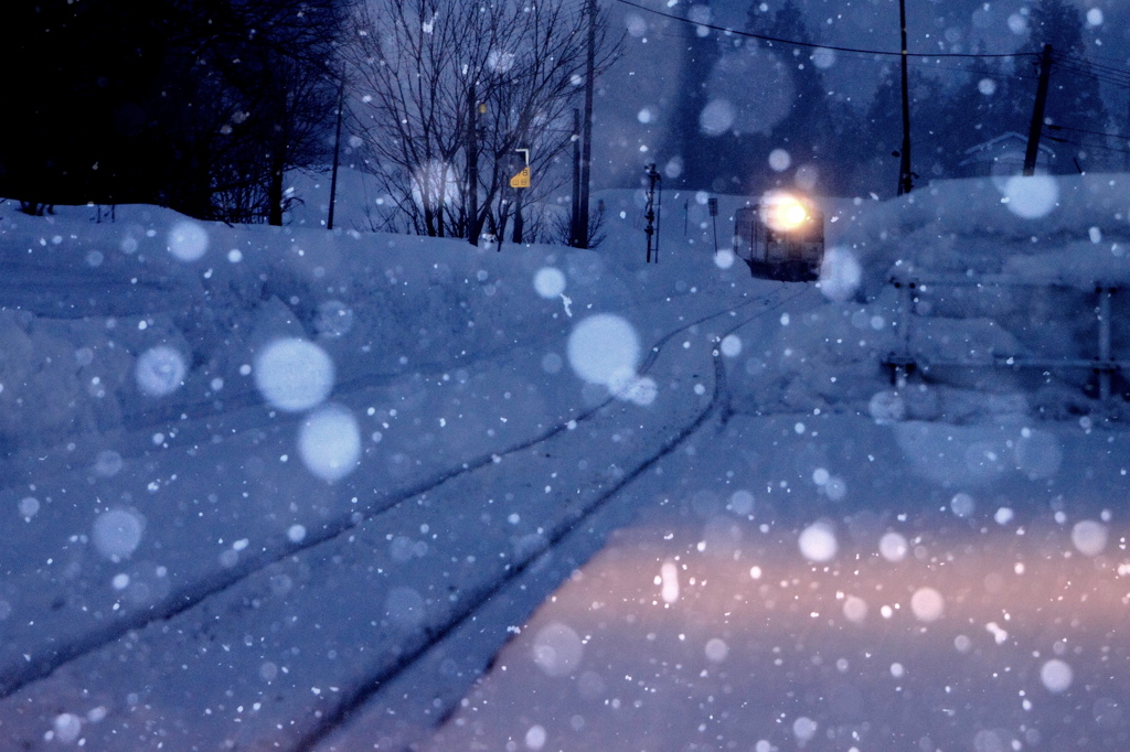 雪の中から