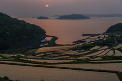 土谷の棚田の夕暮-1845