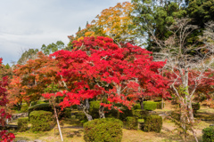 多久西渓公園-5