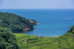 夏の浜野浦-3