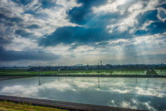 梅雨の朝の光条