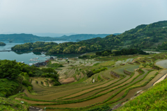 大浦の棚田-2