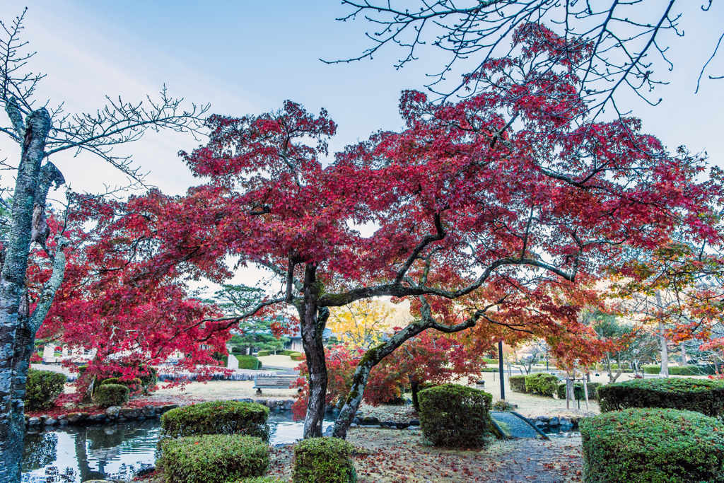 西渓公園-5