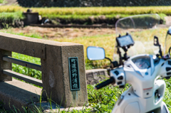 町道浜野浦線
