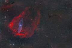 Sh2-129_2024.08.01