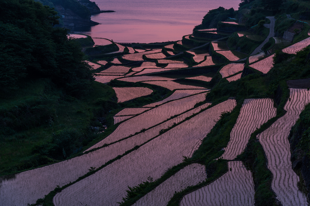 浜野浦2014.05.09-18