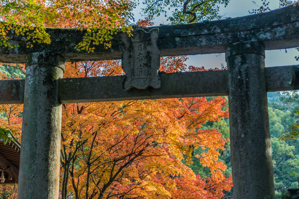 仁比山神社-鳥居の向こう_2014.11.20