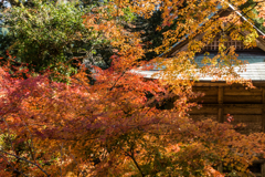 杉山白石神社-2