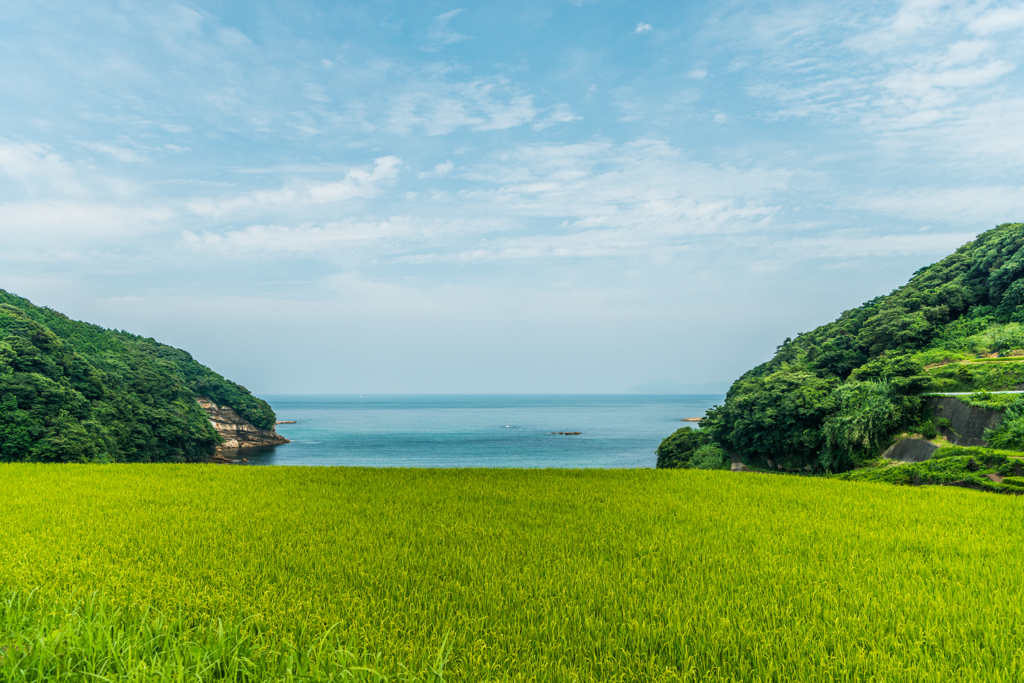海はすぐそこ