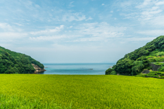 海はすぐそこ