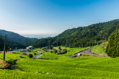 江里山の棚田