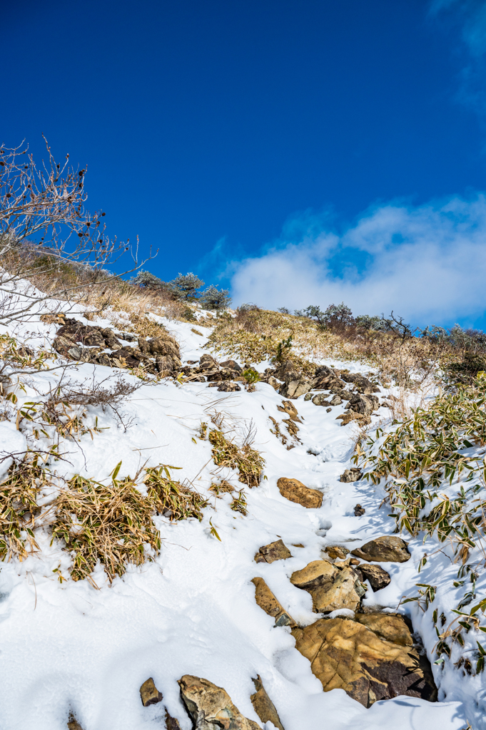 天山への登り