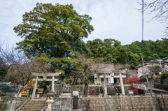 泉山弁財天神社