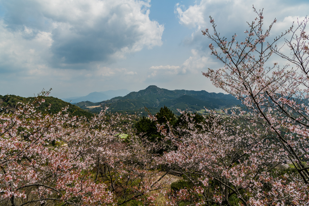 乳待坊公園展望台から-3