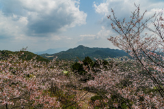 乳待坊公園展望台から-3