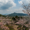 乳待坊公園展望台から-3
