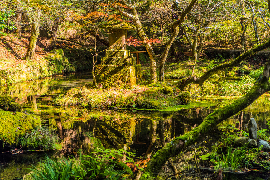 山吹水源-3