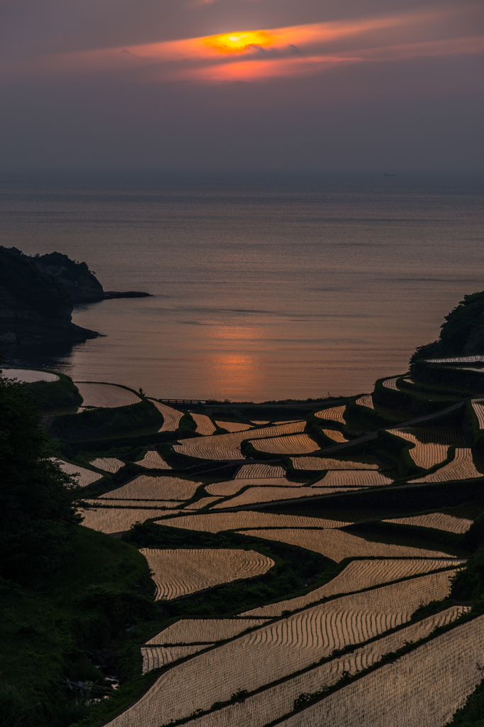 浜野浦2014.05.09-09