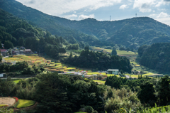 江里山全景