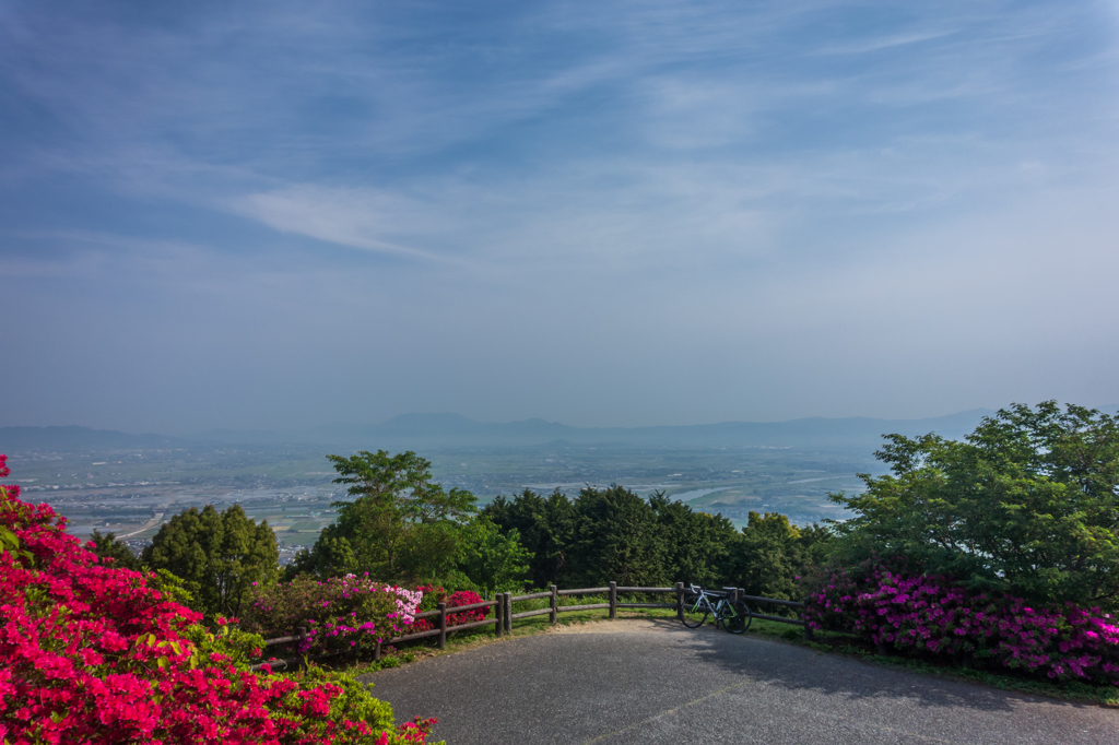 久留米森林つつじ公園から