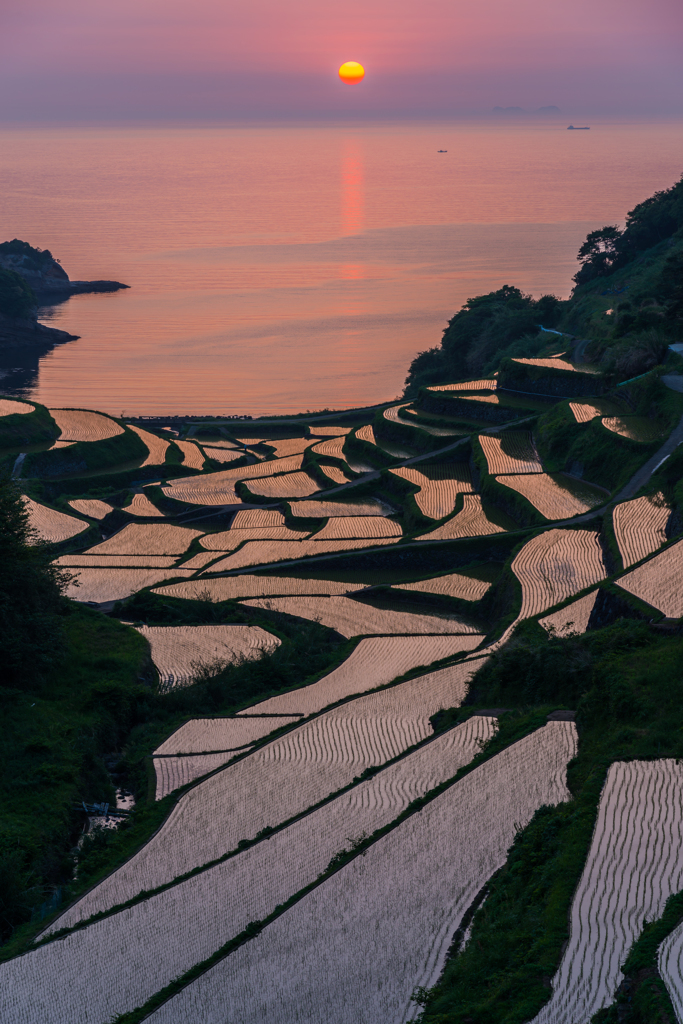 浜野浦2013.05.13-13