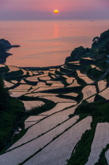 浜野浦2013.05.13-13