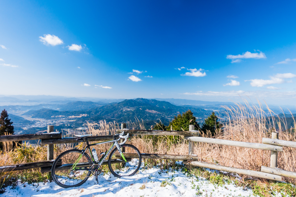 今年もよく登りました