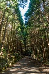 涼しい登り