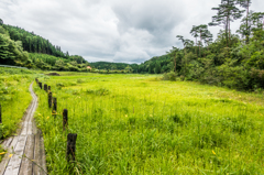 樫原湿原