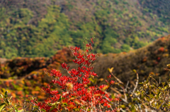 本峰の紅葉