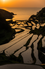 浜野浦2015.04.21_1831