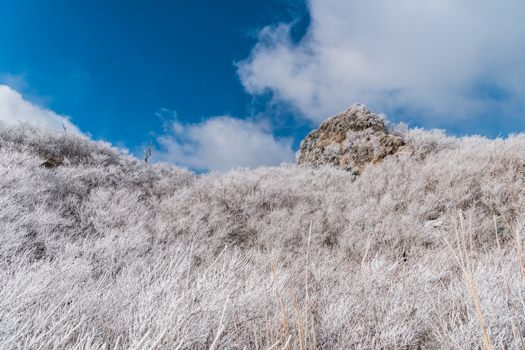 立岩の峰の霧氷