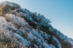 妙見岳の霧氷-2