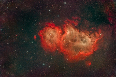 IC1848_2021.11.16