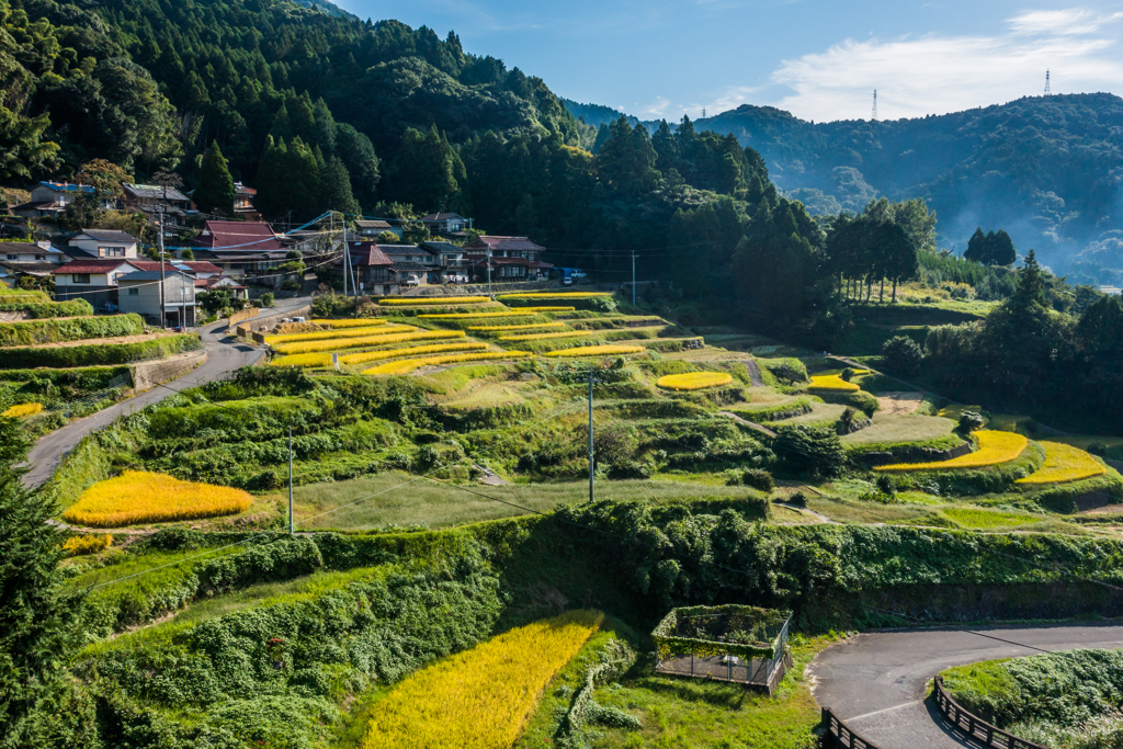秋の江里山棚田-2