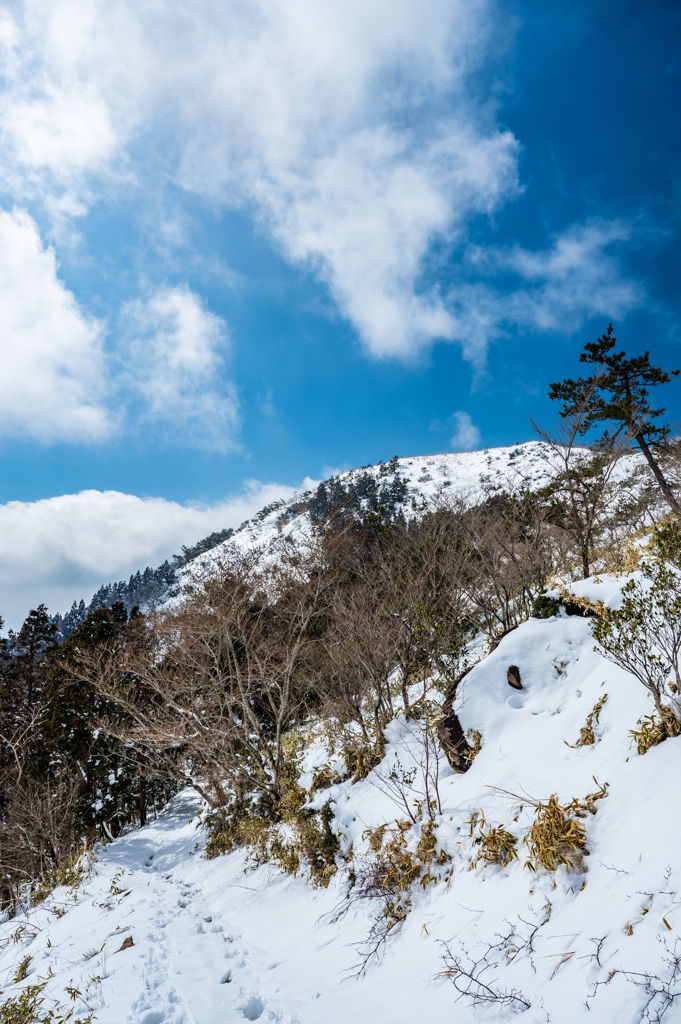 雪の登山道と雨山