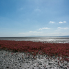 干潟越しに雲仙