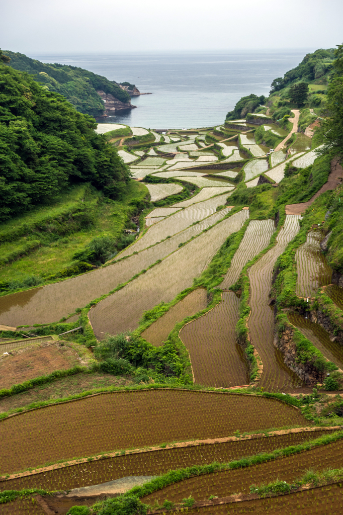 浜野浦-1