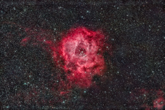 C49_2016.12.03