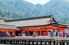 盛況の社殿 盛況の社殿