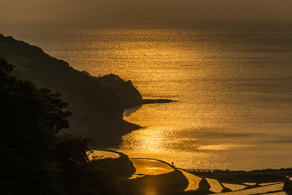 浜野浦2014.05.09-03