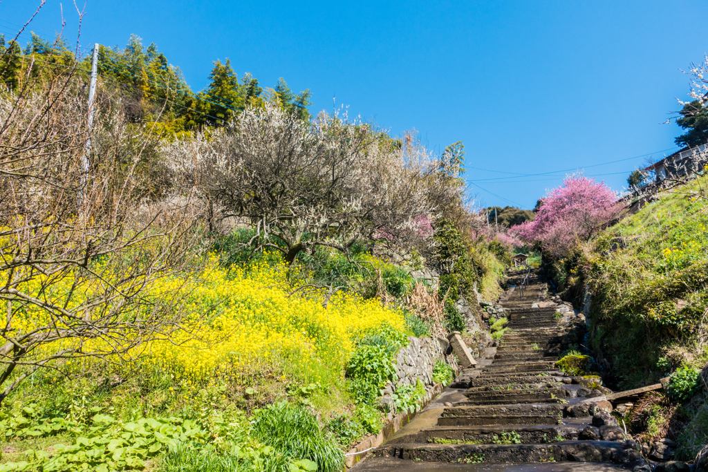 牛尾神社参道