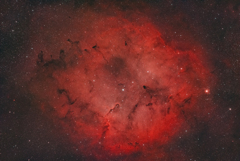 IC1396_2024.08.01