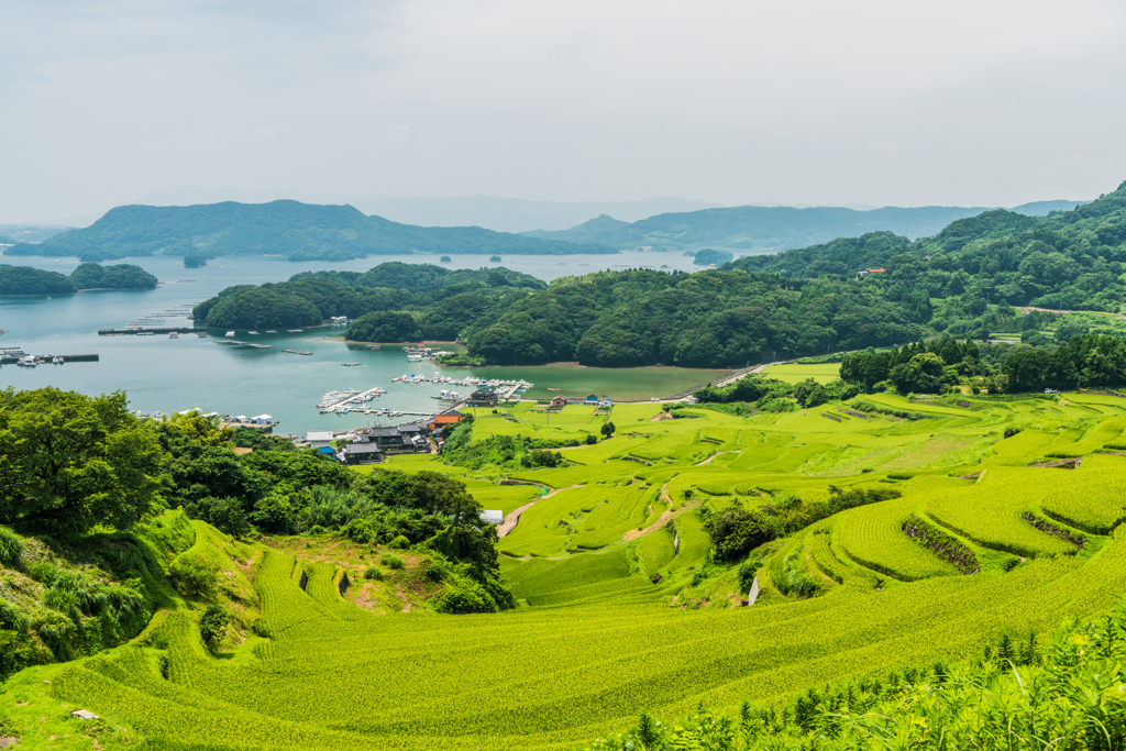 大浦の棚田-3