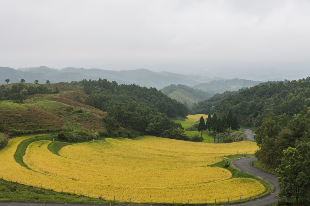 扇田