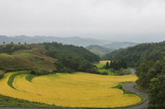 扇田