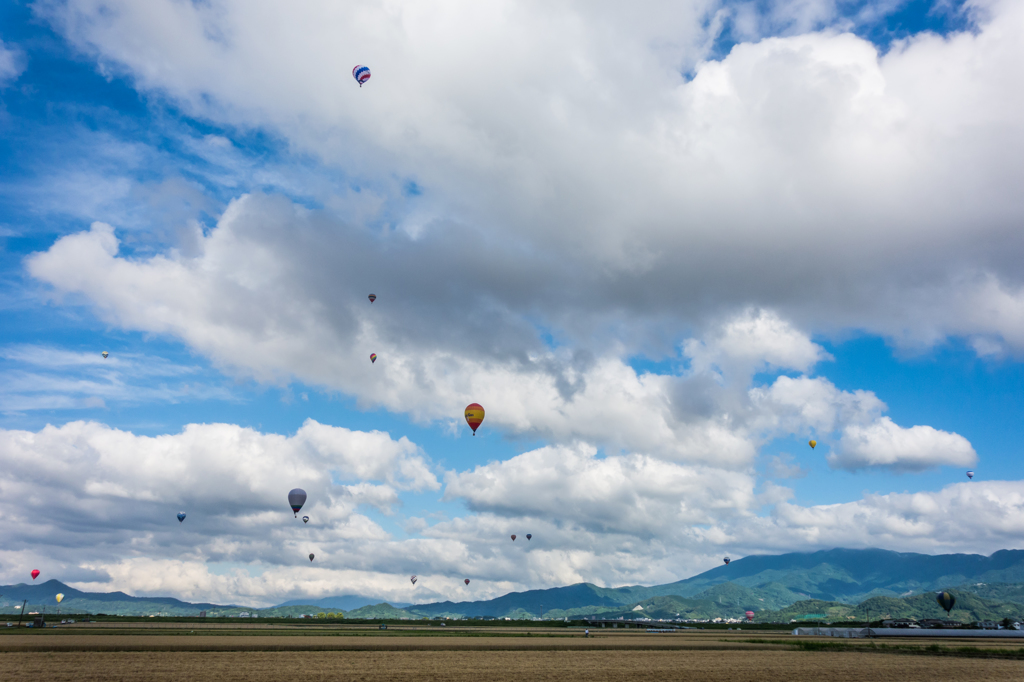 梅雨の合間のバルーン大会-2